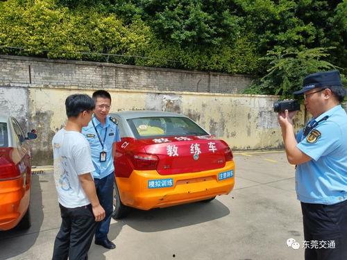 东莞市驾校爆料案件最新,真相揭露，行业乱象引关注